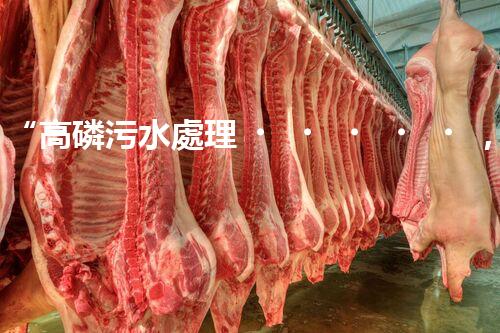 “高磷污水處理，環(huán)保先鋒，守護(hù)碧水藍(lán)天！”